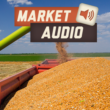 Market Audio